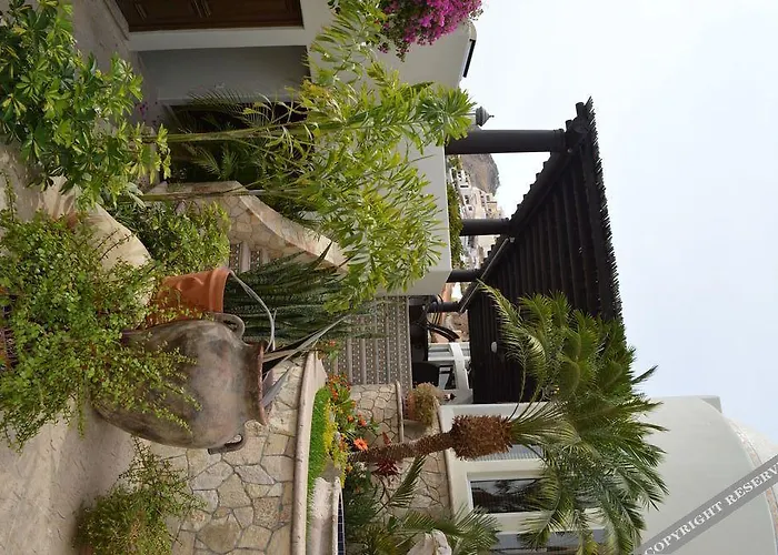 Las Flores Hotel